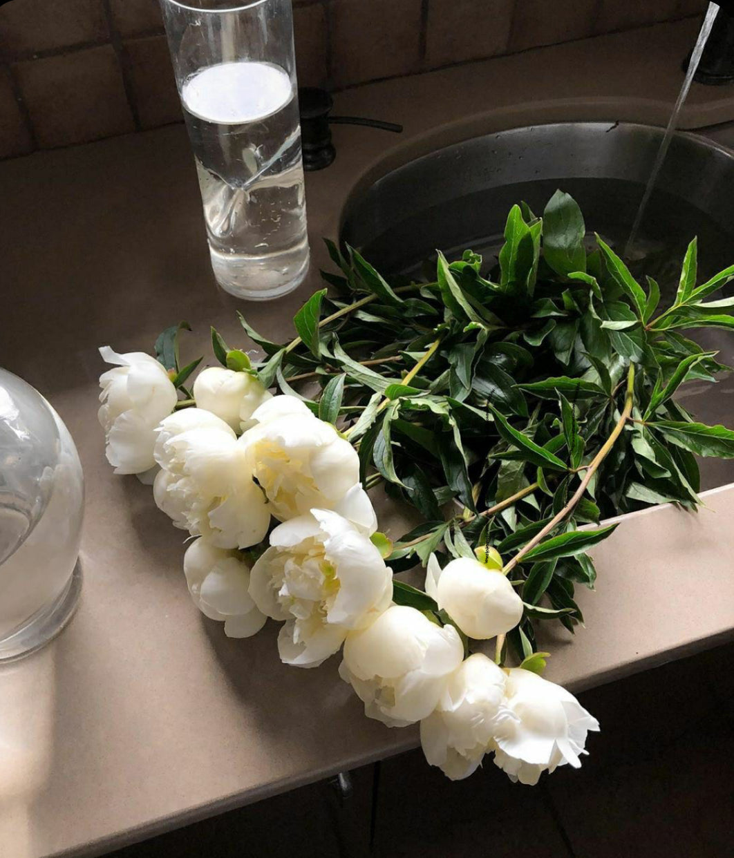HOW TO CARE FOR FRESH CUT FLOWERS