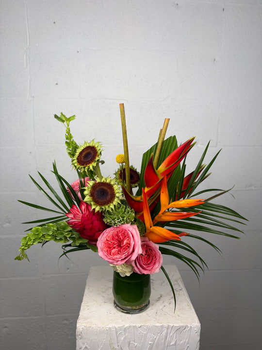 Tropical bloom