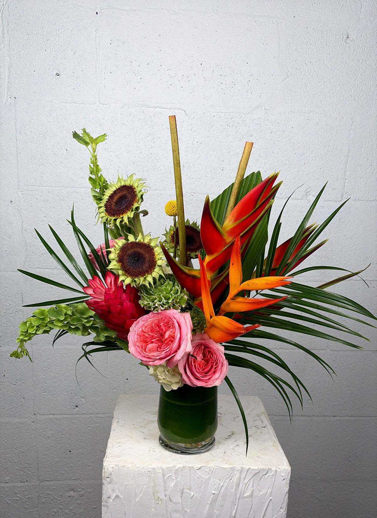 Tropical bloom