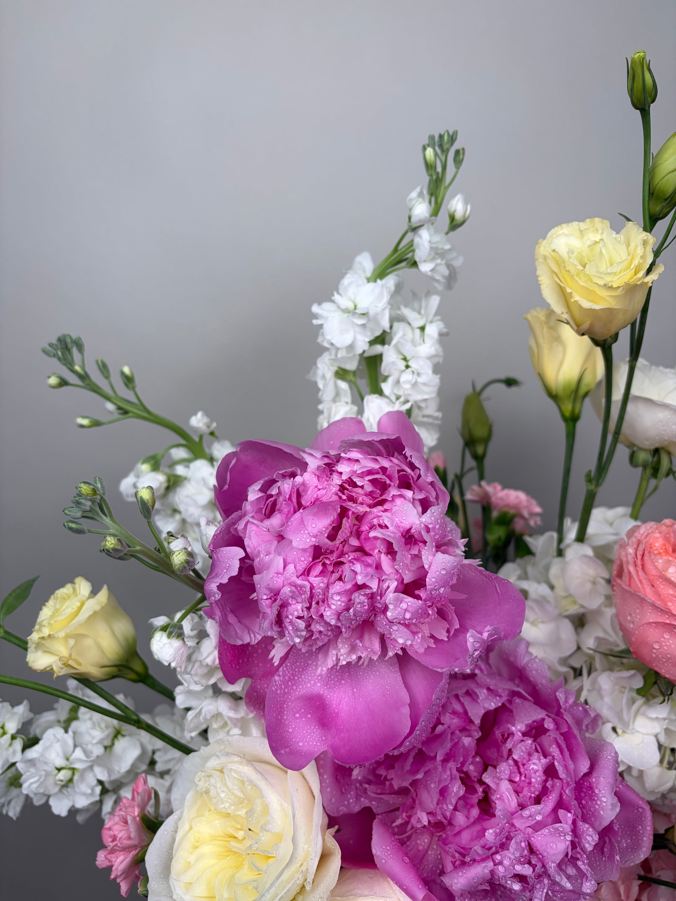 Lovely pink