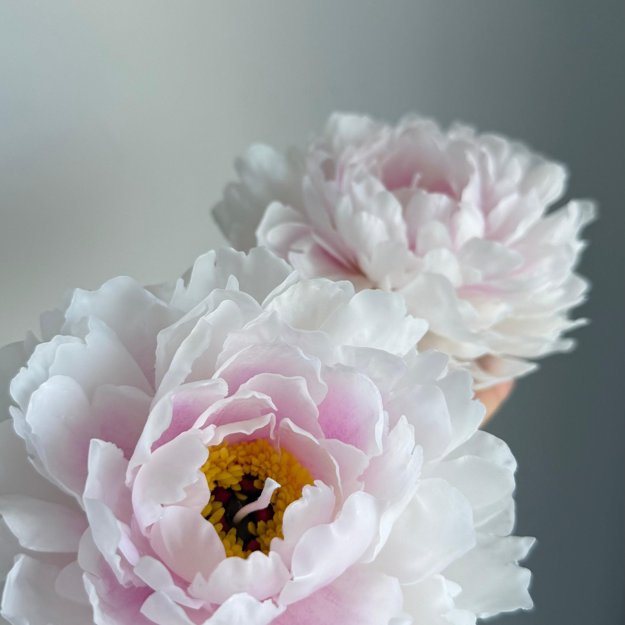 Beeswax Peony Candle / Handmade Flower Candle (Available for purchase only with flowers)