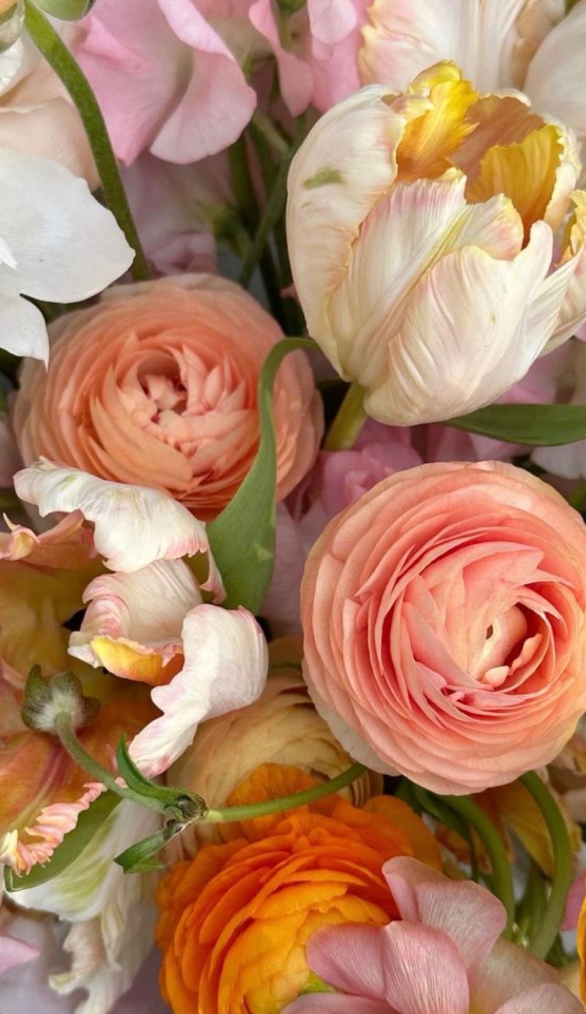 Mother’s Day collection