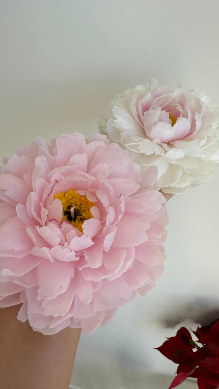Beeswax Peony Candle / Handmade Flower Candle (Available for purchase only with flowers)